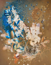 Load image into Gallery viewer, Mountain_Laurel_1