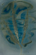 Load image into Gallery viewer, 3_pheasant_feathers_cyanolumen
