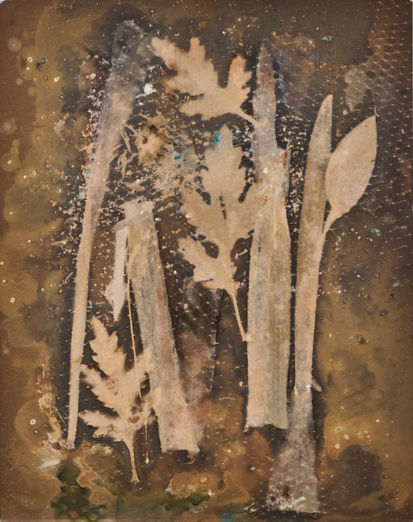 Celery Forest 1