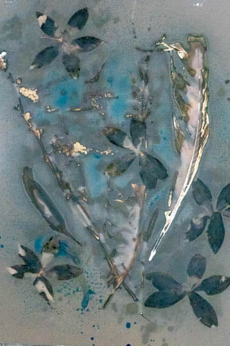 Feather with desert roses