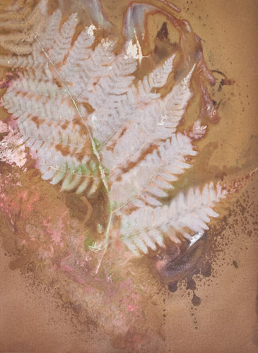 Fern_with_green 8 x 10