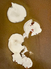 Load image into Gallery viewer, Papaya slices with seeds
