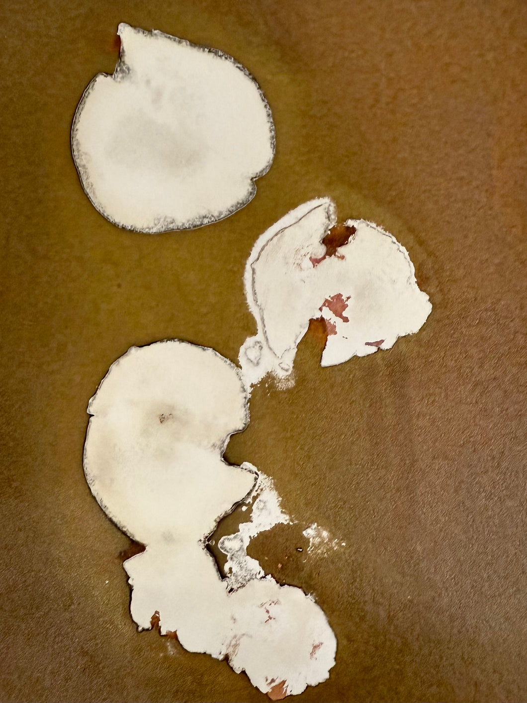 Papaya slices with seeds