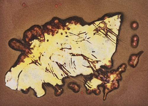 Piece_of_papaya 5 x 7