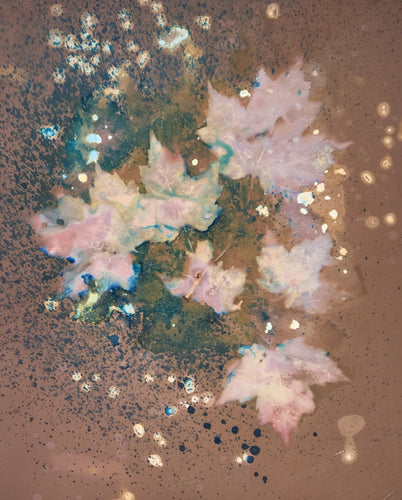 Red_Maple_8_x_10