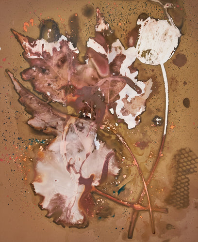 Red_maple_cyclamen_leaf_and_flower_8_x_10