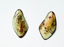 Load image into Gallery viewer, enameled copper earrings with gold1

