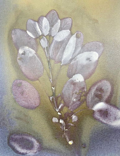 Purple Green Lumen Print on Art Paper